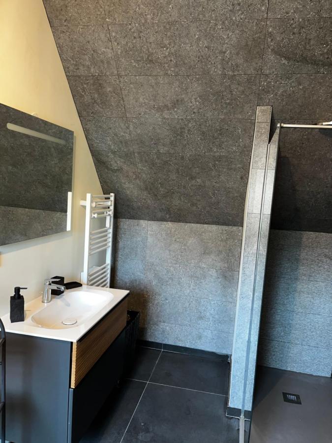 Magnifique Duplex Avec Jaccuzi, Sauna Et Cinema Room Privatif Fontenoy  Bagian luar foto